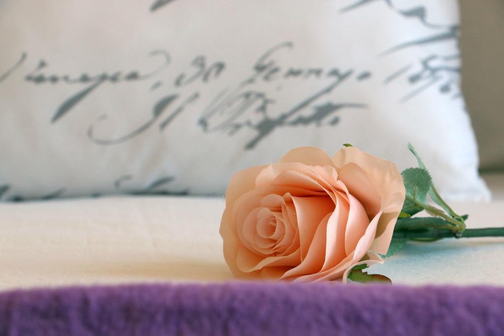 Blue Rose Apartment โตรกีร์ ภายนอก รูปภาพ